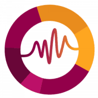 Phenisys logo